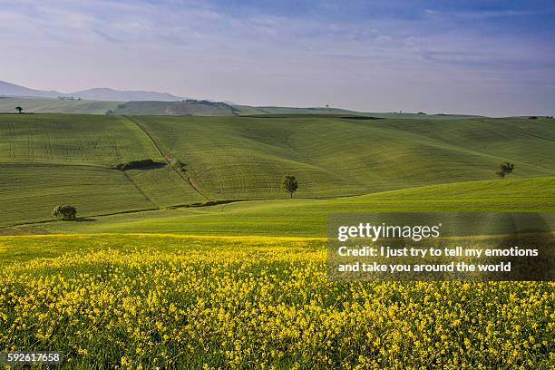 26 Orciano Pisano Stock Photos, HighRes Pictures, and Images Getty