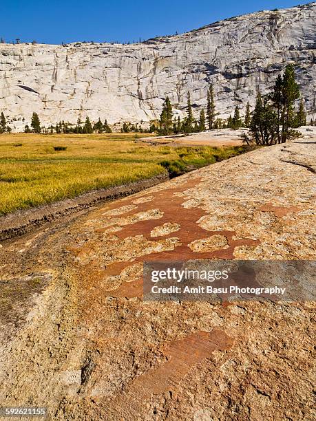 lichen covered rock near cathedral lake, yosemite - cathedral imagens e fotografias de stock