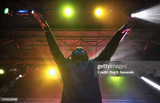 Recording artist Wale performs onstage during the 2016 Billboard Hot 100 Festival - Day 1 at Nikon at Jones Beach Theater on August 20, 2016 in...