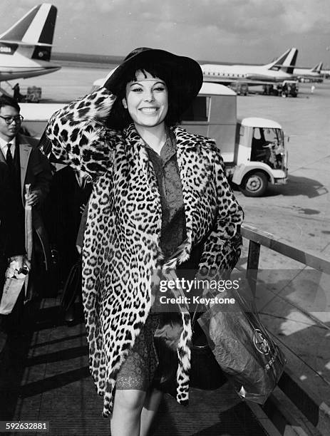 76 Daniela Rocca Stock Photos, High-Res Pictures, and Images - Getty Images