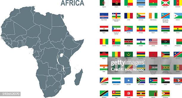 gray map of africa with flag against white background - tunisia 幅插畫檔、美工圖案、卡通及圖標