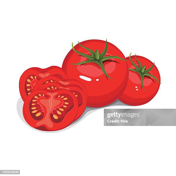 ilustraciones, imágenes clip art, dibujos animados e iconos de stock de colección vectorial de tomates rojos maduros - tomate