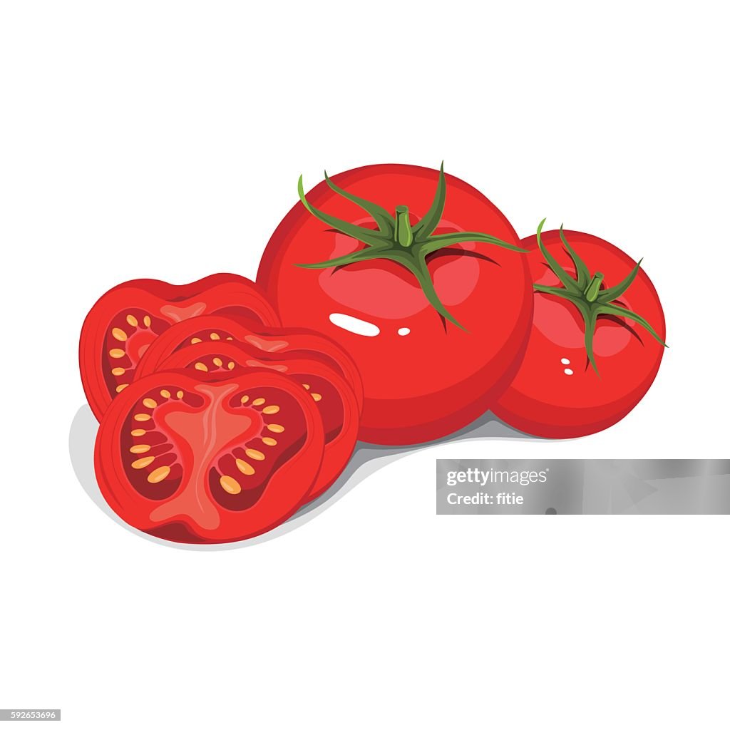 Vector collection of red ripe tomatoes