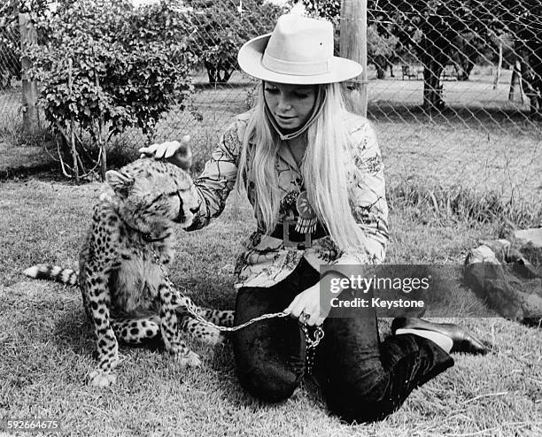 Miss World winner Eva Rueber-Staier playing with a cheetah during a visit to the Nairobi Animal Orphanage during a tour of Kenya, May 22nd 1970.