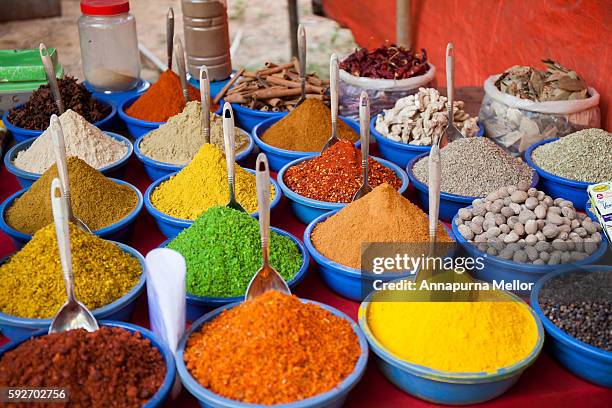 spices at anjuna flea market, goa, india - indian spices photos et images de collection