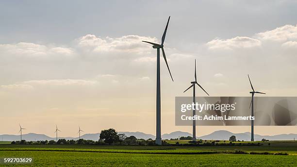 green energy - achim lammerts stock pictures, royalty-free photos & images