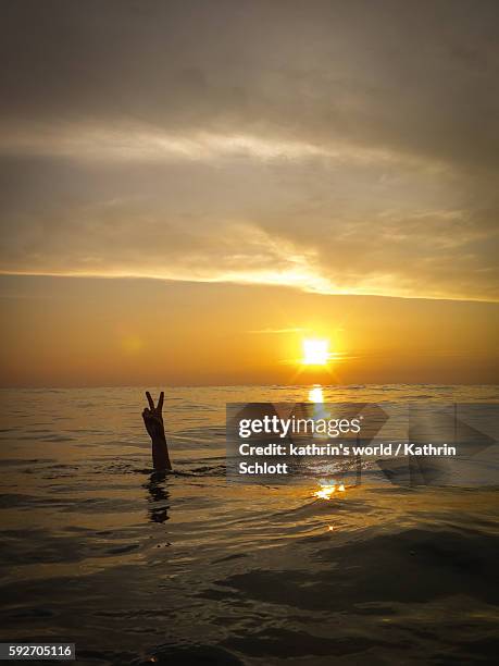 Photo Peace Example 13 191 World Peace People Stock Photos, High-Res Pictures, and Images ...