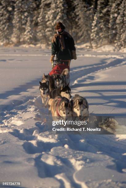 Richard Handle 2,883 Richard Handler Stock Photos, High-Res Pictures, and Images ...
