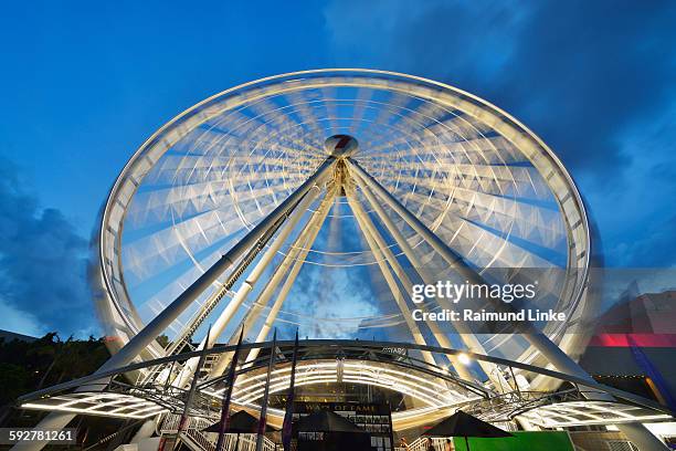 wheel of brisbane at dusk - brisbane wheel stock pictures, royalty-free photos & images