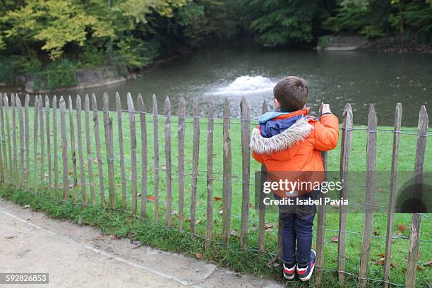 boy standing on fence - bruselas bildbanksfoton och bilder