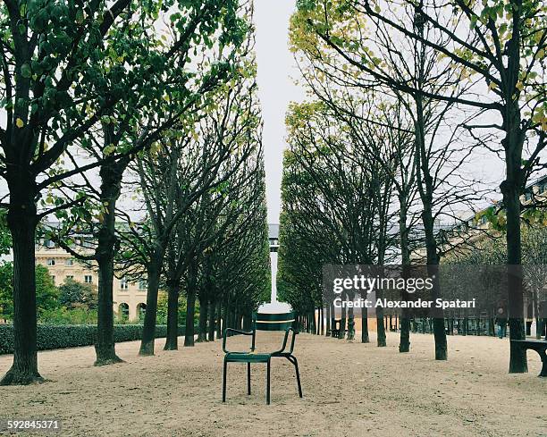 lone chair in jardin du palais royal, paris,france - palais royal stockfoto's en -beelden