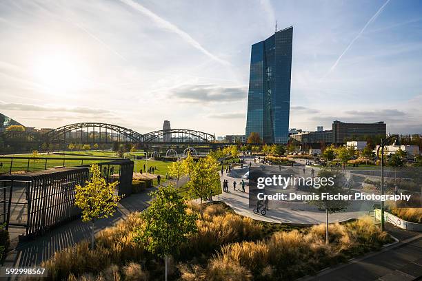 skatepark and skyline frankfurt - europese centrale bank stockfoto's en -beelden