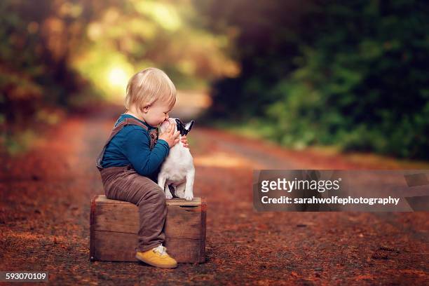 blonde toddler kissing his new puppy - bulldog photos et images de collection
