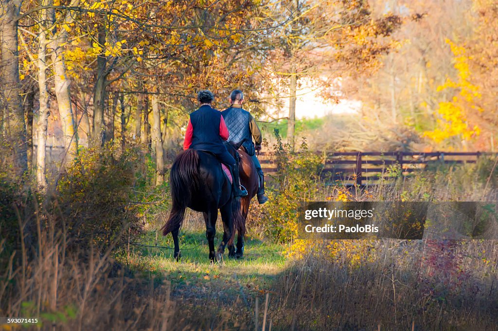 People are riding in the wood of Mestre, Venice