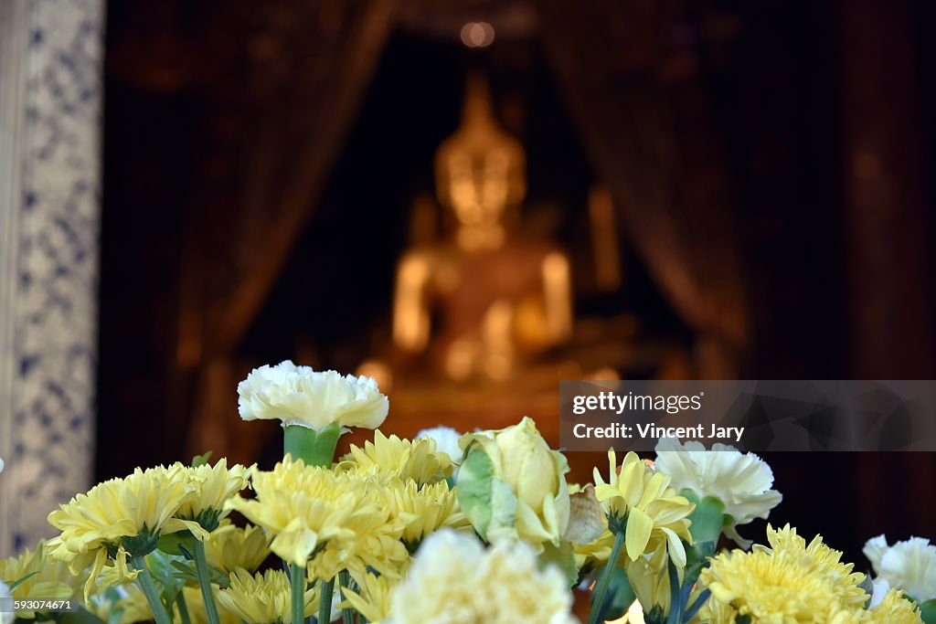 Flower with buddha bangkok