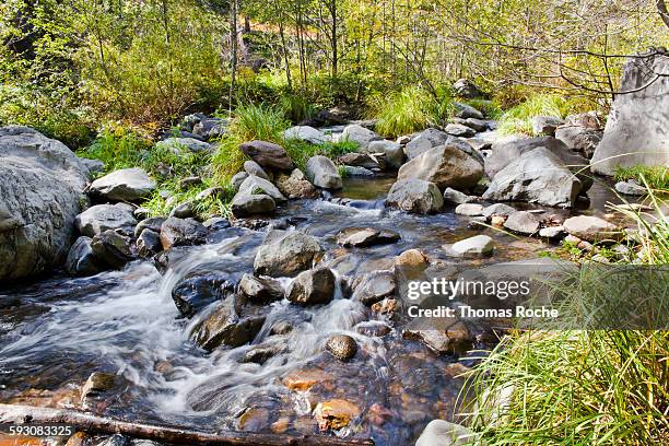 oak creek in oak creek canyon - oak creek canyon fotografías e imágenes de stock