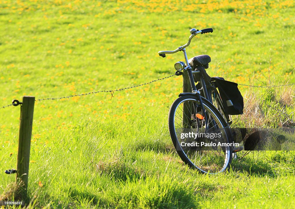 Traditional bicycle on the park