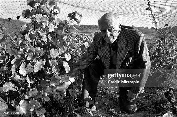 The greatest pests he has had to combat have been birds - this year the General has overcome the problem by covering the grape vines with netting,...