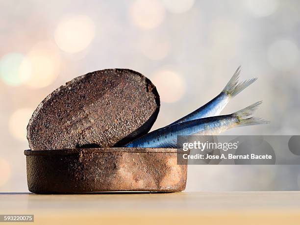 boat of conserve and fresh sardines. - preserved in oil stock pictures, royalty-free photos & images