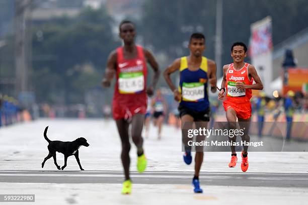 Dog runs on the course as Abdi Hakin Ulad of Denmark, Anuradha Indrajith Cooray of Sri Lanka and Suehiro Ishikawa of Japan approach the finish line...