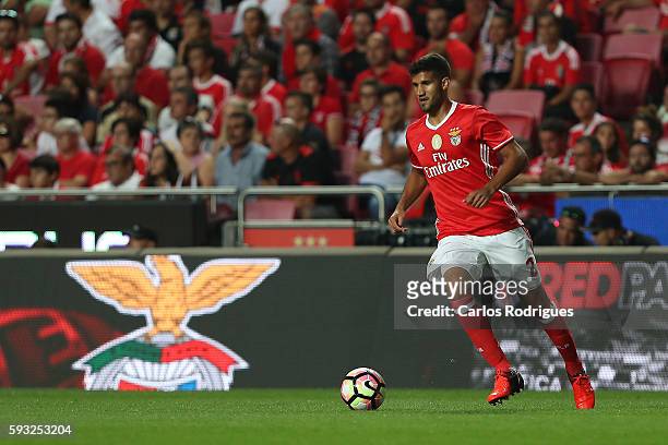 Benfica's Argentinian defender Lisandro Lopez during the match between SL Benfica and Vitoria Setubal FC for the Portuguese Primeira Liga at Estadio...