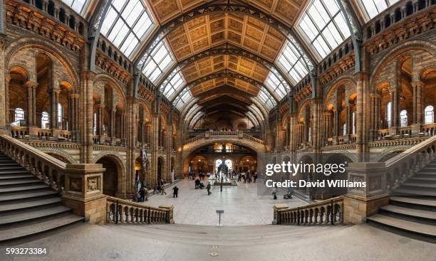 the central hall of the natural history museum in south kensington, london, a world famous museum exhibiting a vast range of specimens covering botany, entomology, minerology, palaeontology and zoology. - natural history museum london stock pictures, royalty-free photos & images