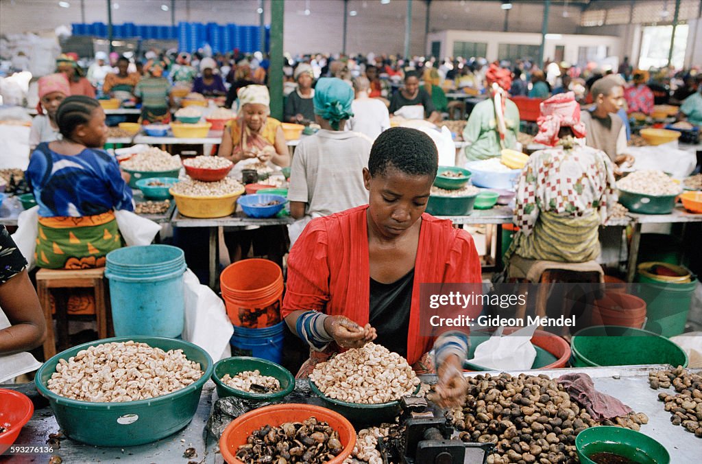 Tanzania - Mtwara - Production line in a cashew factory