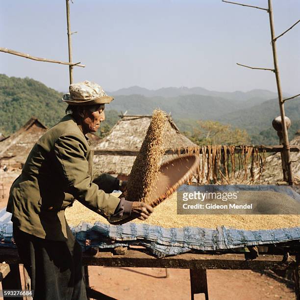 Lo-cheu winnows his crop of rice on the balcony of his traditional old Akha house in the Ban Nam Sa Akha village high up on a mountain slope in the...
