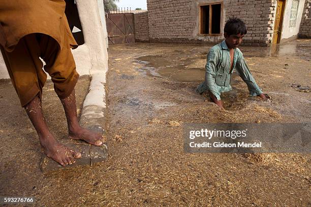Wakeel Raksha 42 Wakeel Stock Photos, High-Res Pictures, and Images - Getty Images