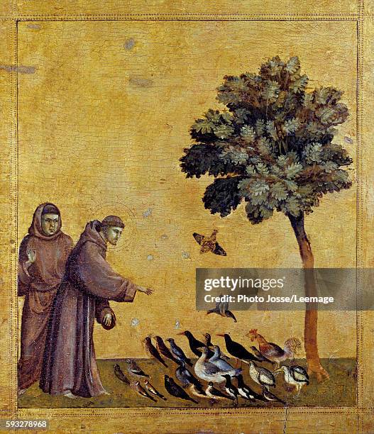 Saint Francis of Assisi preaching to the birds. Detail of the predella of St Francis of Assisi receiving the Stigmata. Painting by Giotto Di Bondone...