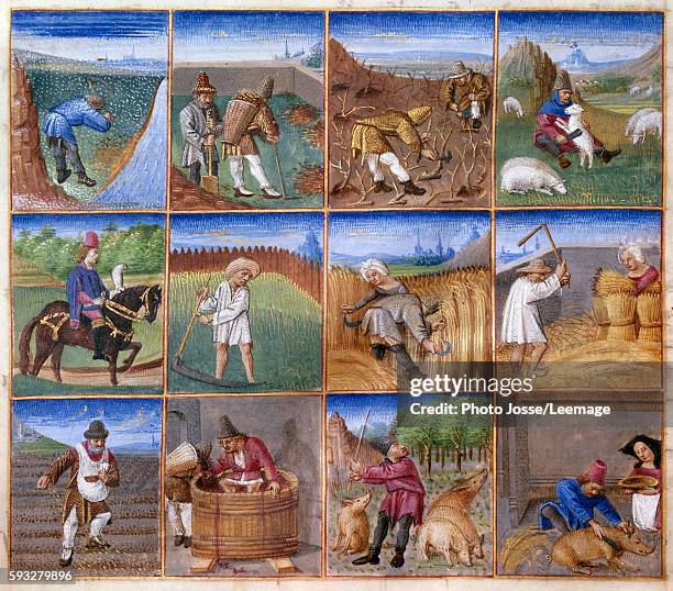 Calendars of the twelve months : agricultural works, raking leaves, shearing, falcons hunting, harvest, threshing wheat, sowing, harvesting....