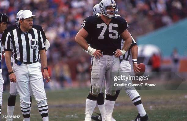 Howie Long of the Los Angeles Raiders circa 1987 at the Coliseum in Los Angeles, California.