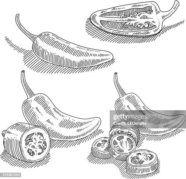 jalapenos drawing - chilli pepper stock illustrations