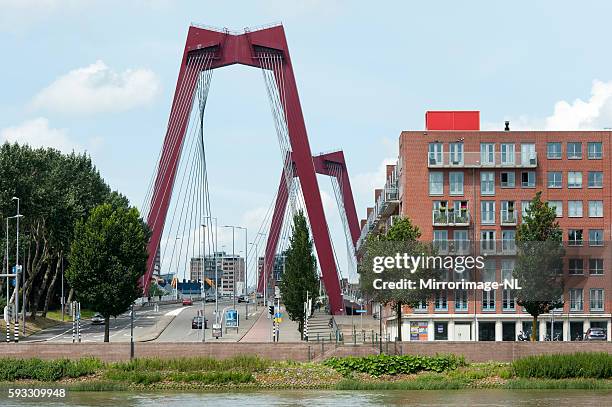 red pylons of the willemsbridge in rotterdam - erasmusbrug stock pictures, royalty-free photos & images