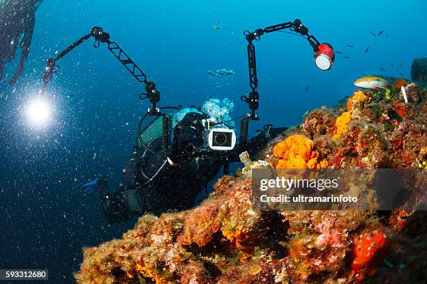underwater photographer  scuba divers photographing  coral reef   sea life nudibranch - underwater camera stock pictures, royalty-free photos & images
