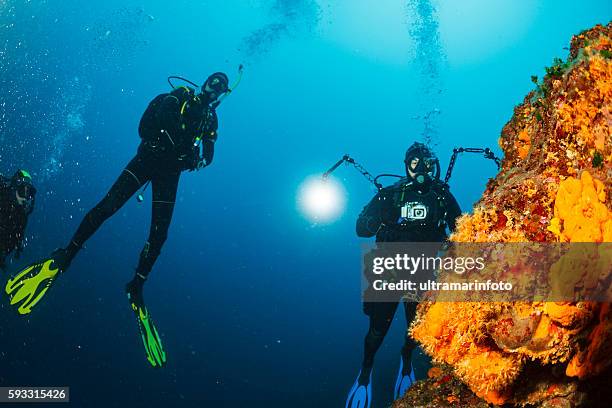 fotografo subacqueo subacquei fotografia esplora la barriera corallina vita marina - macchina fotografica subacquea foto e immagini stock