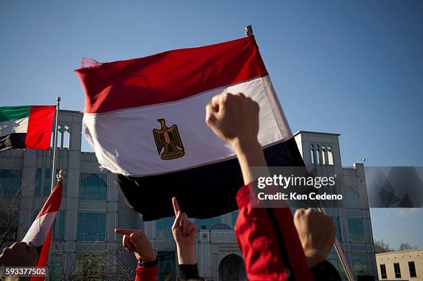 45 Egyptian Americans Stock Photos, HighRes Pictures, and Images