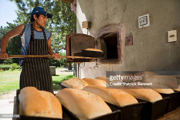 man baking bread at estancia paso flores - baker smelling bread stock-fotos und bilder