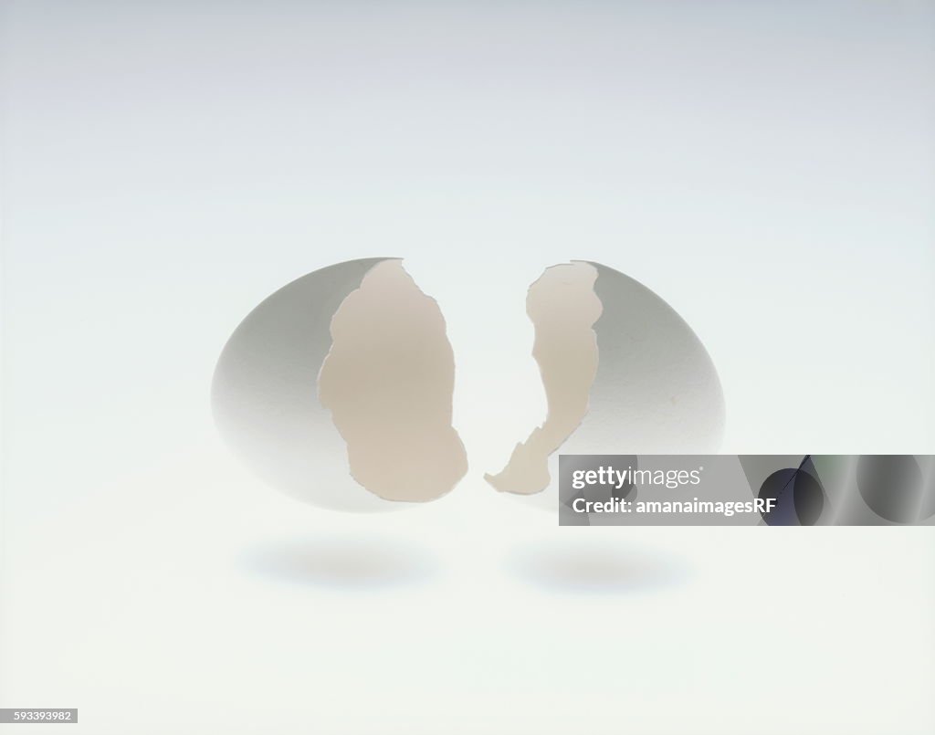 Cracked egg, white background