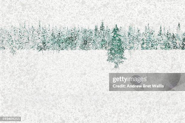 winter pine forest caught in heavy snowfall - single tree stock illustrations