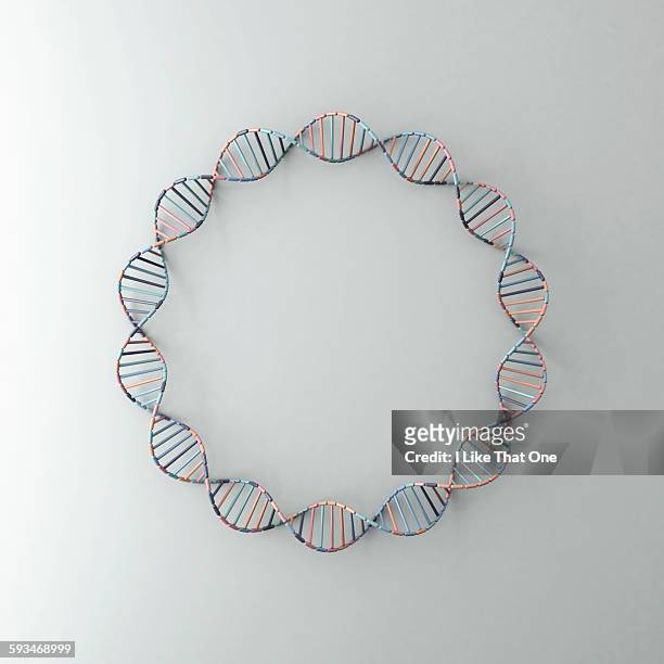 dna helix resting against a pale grey backdrop - genome stock pictures, royalty-free photos & images