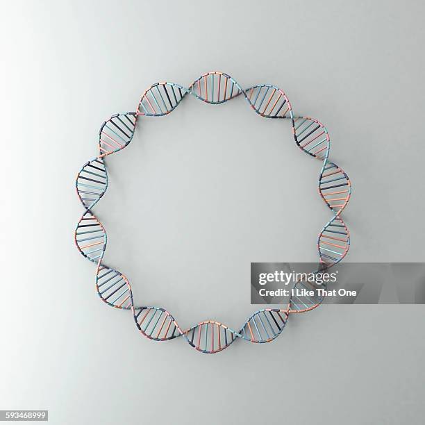 dna helix resting against a pale grey backdrop - pesquisa genética - fotografias e filmes do acervo