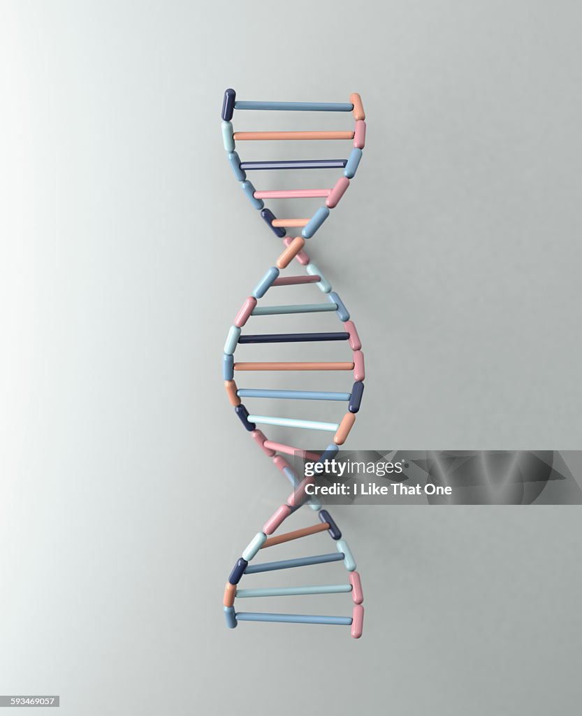 DNA Helix resting against a pale grey backdrop