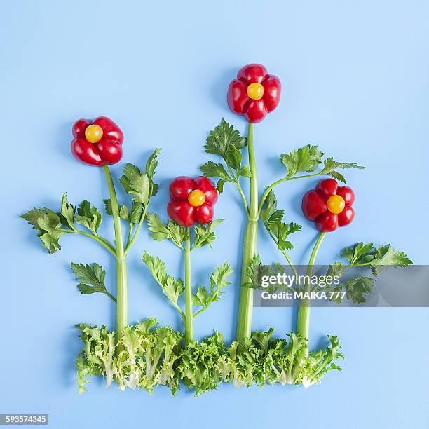 flowers made with peppers - curly endive stock pictures, royalty-free photos & images