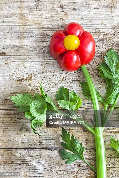 flowers made with peppers - curly endive stock pictures, royalty-free photos & images