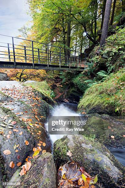 Pystal Rhyader Pistyll Rhaeadr Photos and Premium High Res Pictures - Getty Images