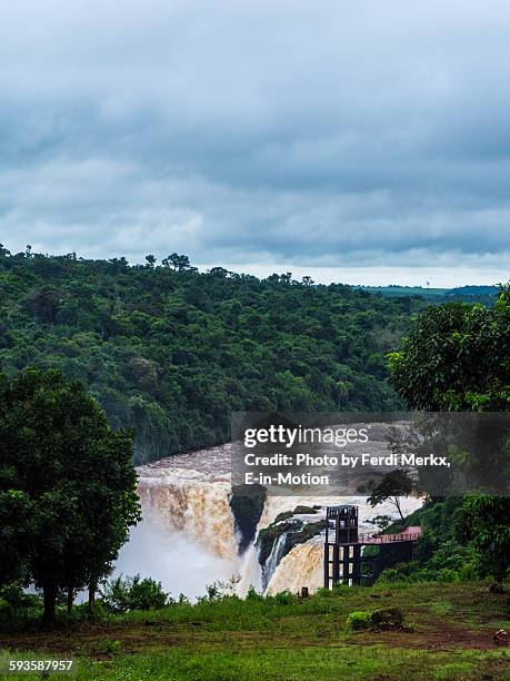 saltos del monday - monday stock pictures, royalty-free photos & images
