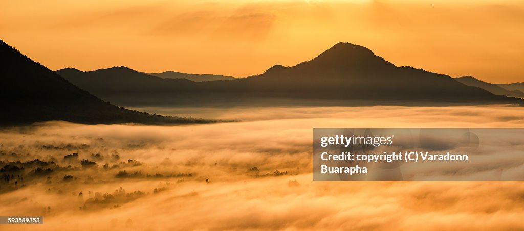 Mountain above the sea mist