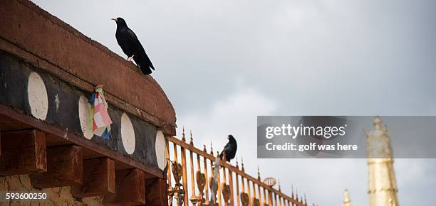 songzanlin tibetan buddhist monastery. - songzanlin monastery stock pictures, royalty-free photos & images