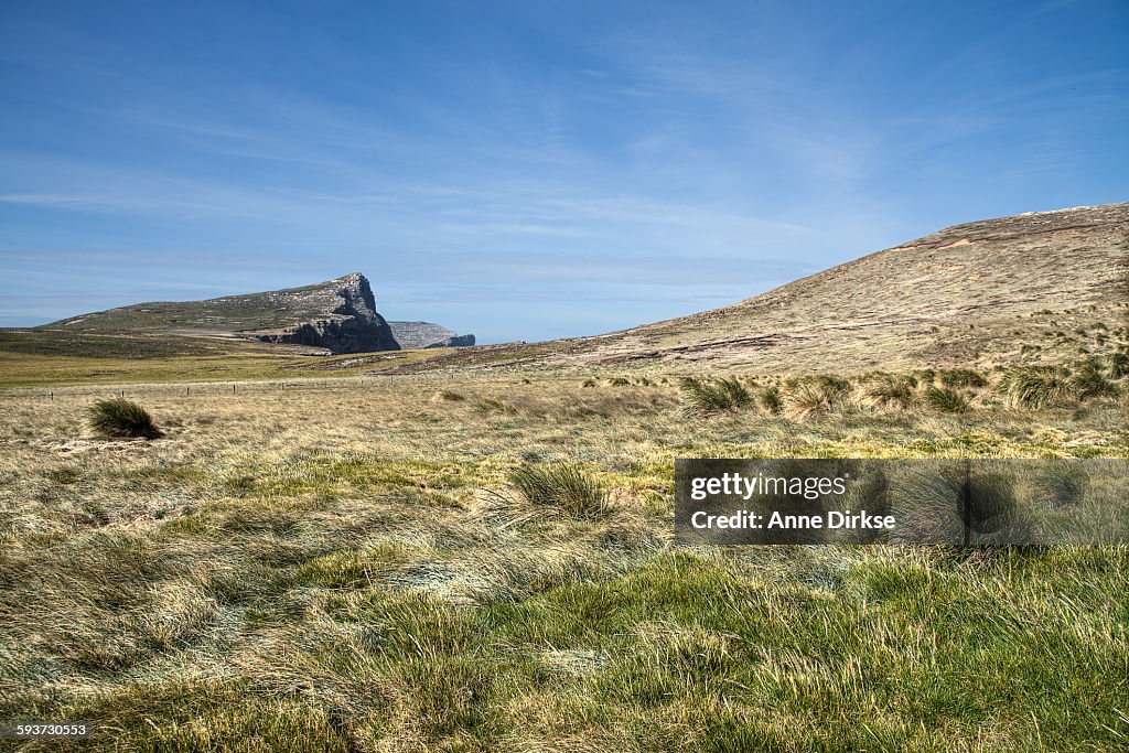 Landscape on New Island